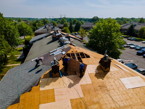 Quick and Trustworthy Emergency Roof Repair Services in Cheval, FL