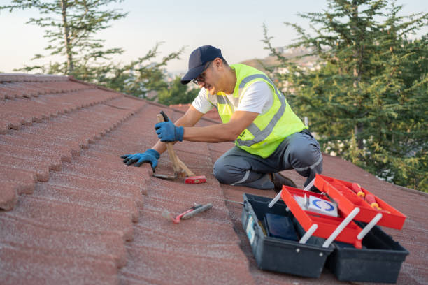 Best Roof Gutter Cleaning  in Cheval, FL