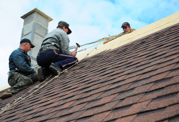 Best Commercial Roofing Services  in Cheval, FL